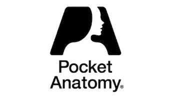 Pocket Anatomy