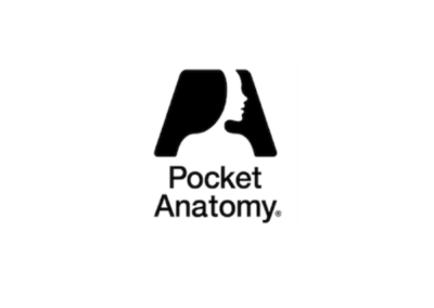 Pocket Anatomy