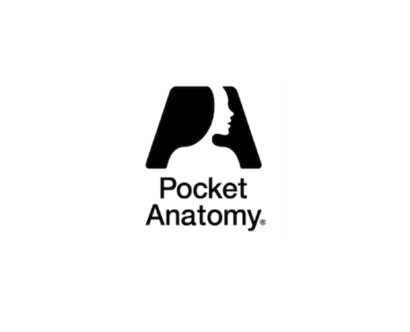 Pocket Anatomy